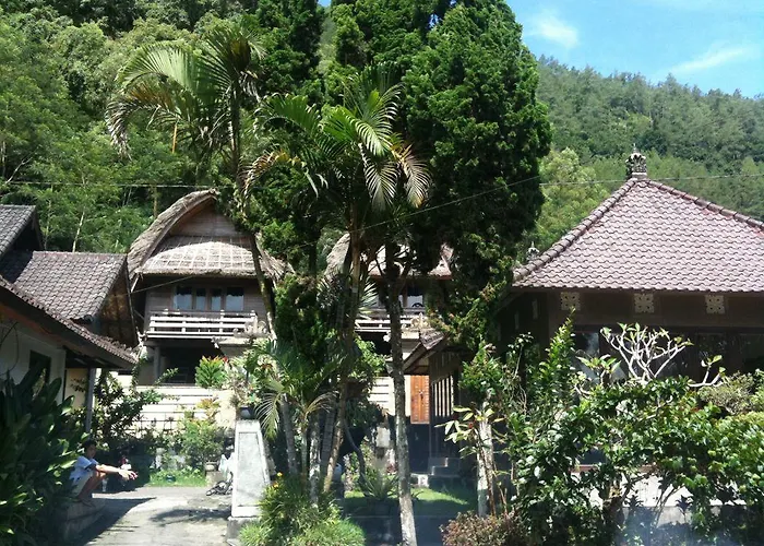 Baruna Side View 2* Kintamani (Bali)
