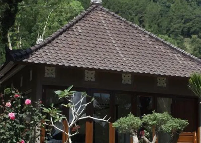 Baruna Side View 2* Kintamani (Bali)
